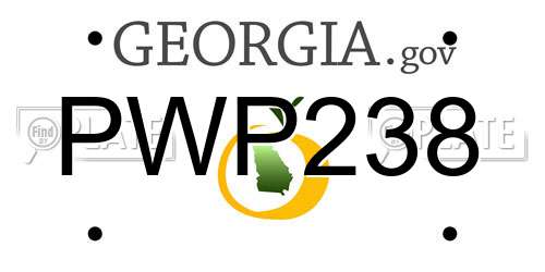 PWP238 Georgia License Plate