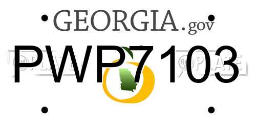 PWP7103 Georgia License Plate