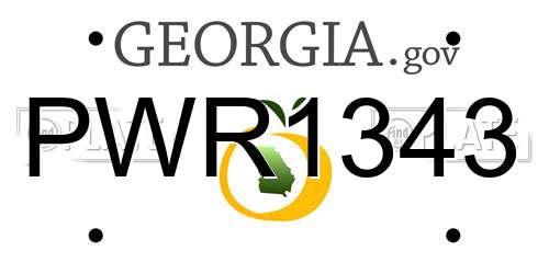 PWR1343 Georgia License Plate