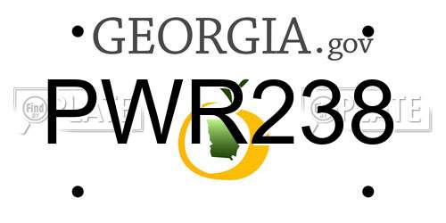 PWR238 Georgia License Plate