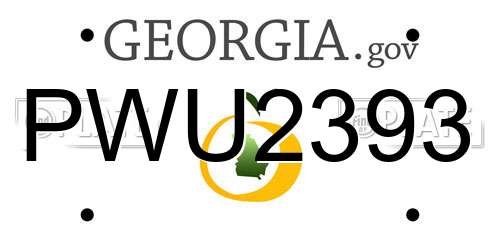 PWU2393 Georgia License Plate