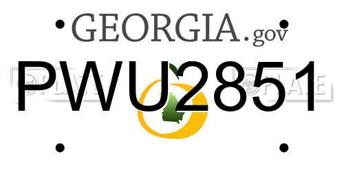 PWU2851 Georgia License Plate