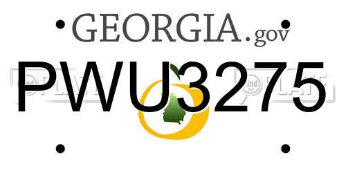 PWU3275 Georgia License Plate