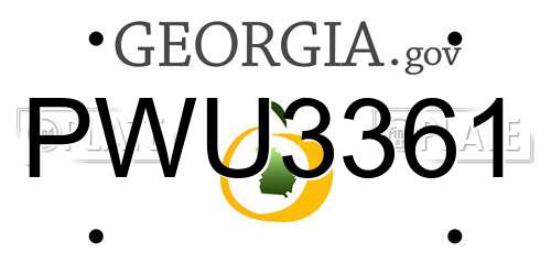 PWU3361 Georgia License Plate