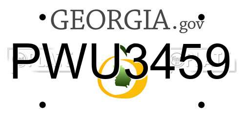 PWU3459 Georgia License Plate