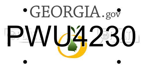 PWU4230 Georgia License Plate