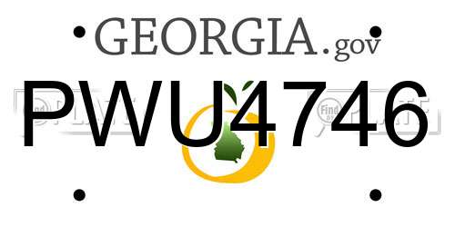 PWU4746 Georgia License Plate