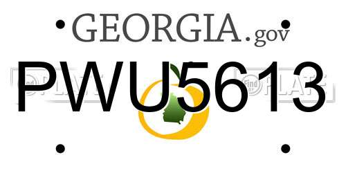 PWU5613 Georgia License Plate