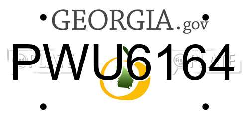 PWU6164 Georgia License Plate