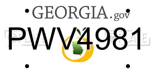 PWV4981 Georgia License Plate