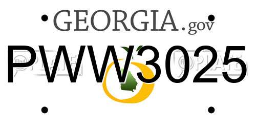 PWW3025 Georgia License Plate