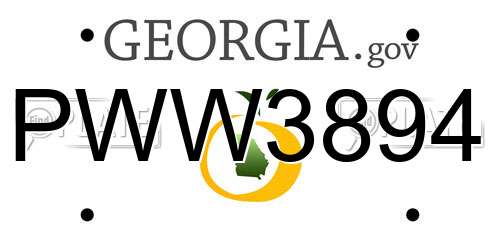PWW3894 Georgia License Plate