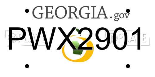 PWX2901 Georgia License Plate