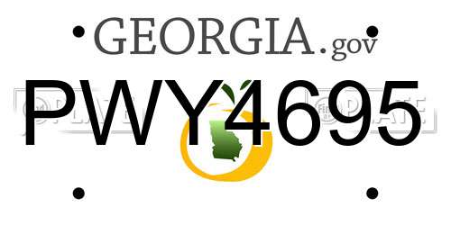 PWY4695 Georgia License Plate