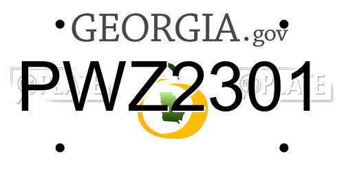 PWZ2301 Georgia License Plate