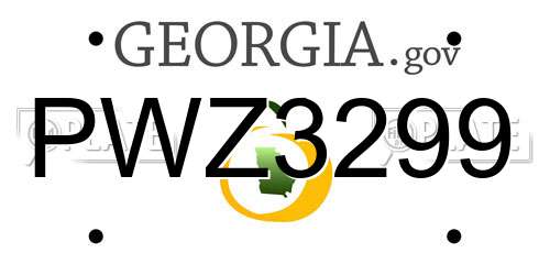 PWZ3299 Georgia License Plate