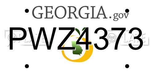 PWZ4373 Georgia License Plate
