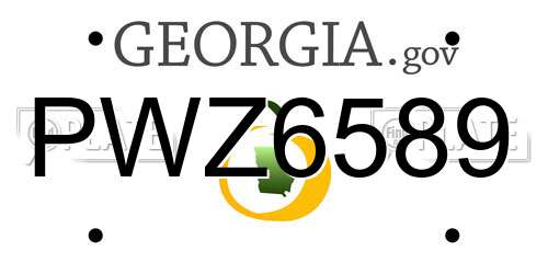 PWZ6589 Georgia License Plate