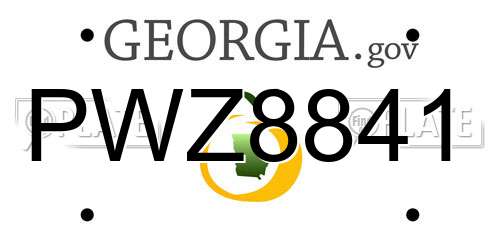 PWZ8841 Georgia License Plate