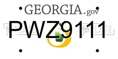 PWZ9111 Georgia License Plate