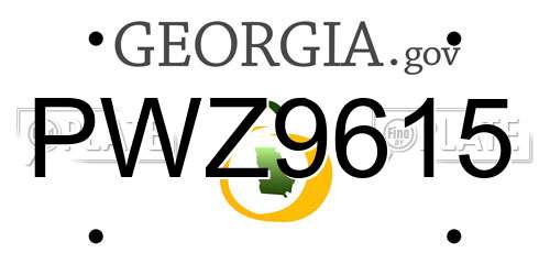 PWZ9615 Georgia License Plate