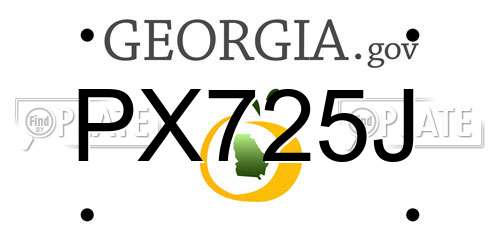 PX725J Georgia License Plate