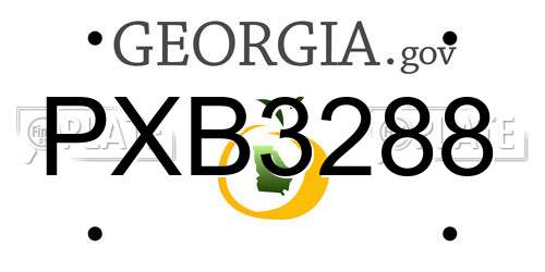 PXB3288 Georgia License Plate