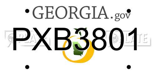PXB3801 Georgia License Plate