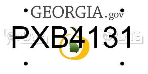 PXB4131 Georgia License Plate