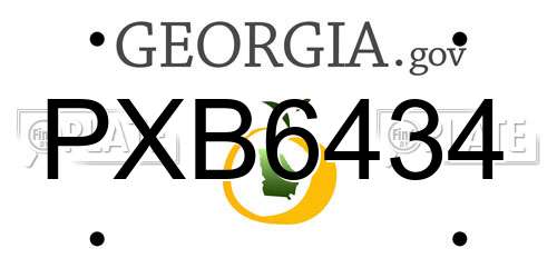 PXB6434 Georgia License Plate