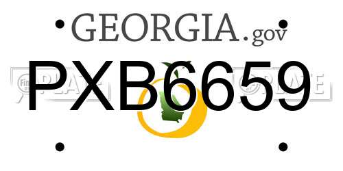 PXB6659 Georgia License Plate