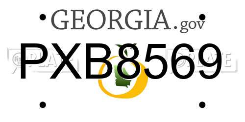 PXB8569 Georgia License Plate