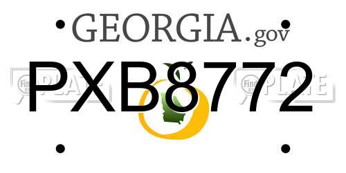 PXB8772 Georgia License Plate