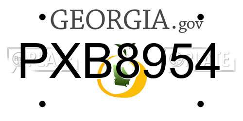 PXB8954 Georgia License Plate