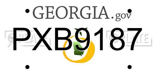 PXB9187 Georgia License Plate