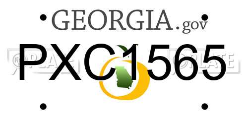 PXC1565 Georgia License Plate