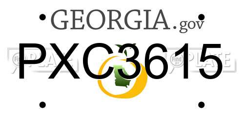 PXC3615 Georgia License Plate