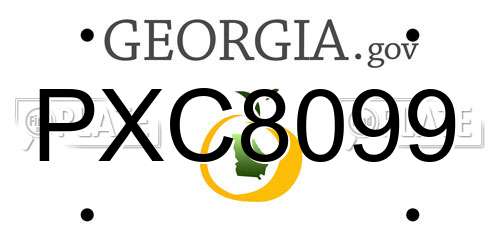 PXC8099 Georgia License Plate
