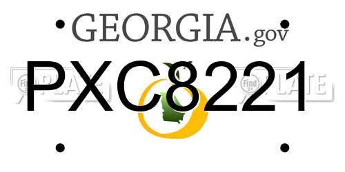 PXC8221 Georgia License Plate