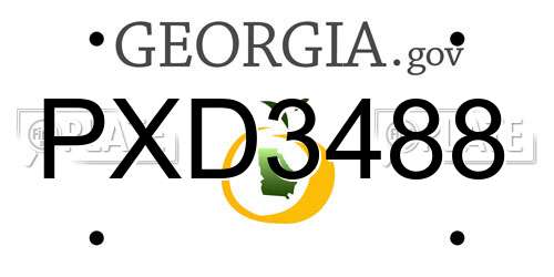 PXD3488 Georgia License Plate
