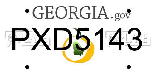 PXD5143 Georgia License Plate