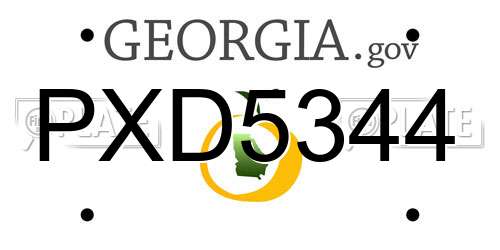 PXD5344 Georgia License Plate