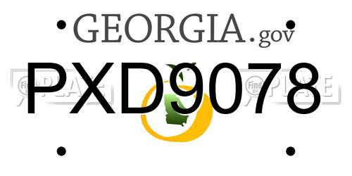 PXD9078 Georgia License Plate