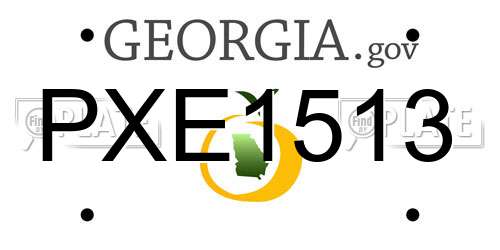 PXE1513 Georgia License Plate