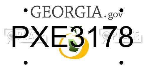 PXE3178 Georgia License Plate
