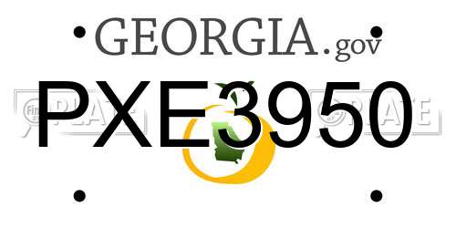PXE3950 Georgia License Plate