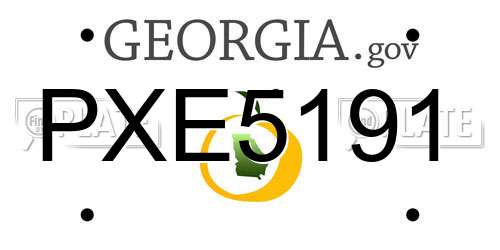 PXE5191 Georgia License Plate