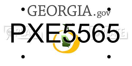 PXE5565 Georgia License Plate