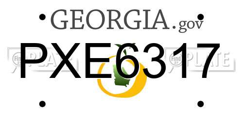 PXE6317 Georgia License Plate