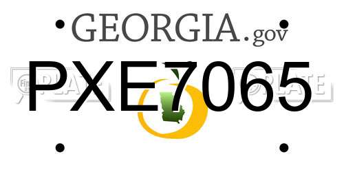 PXE7065 Georgia License Plate